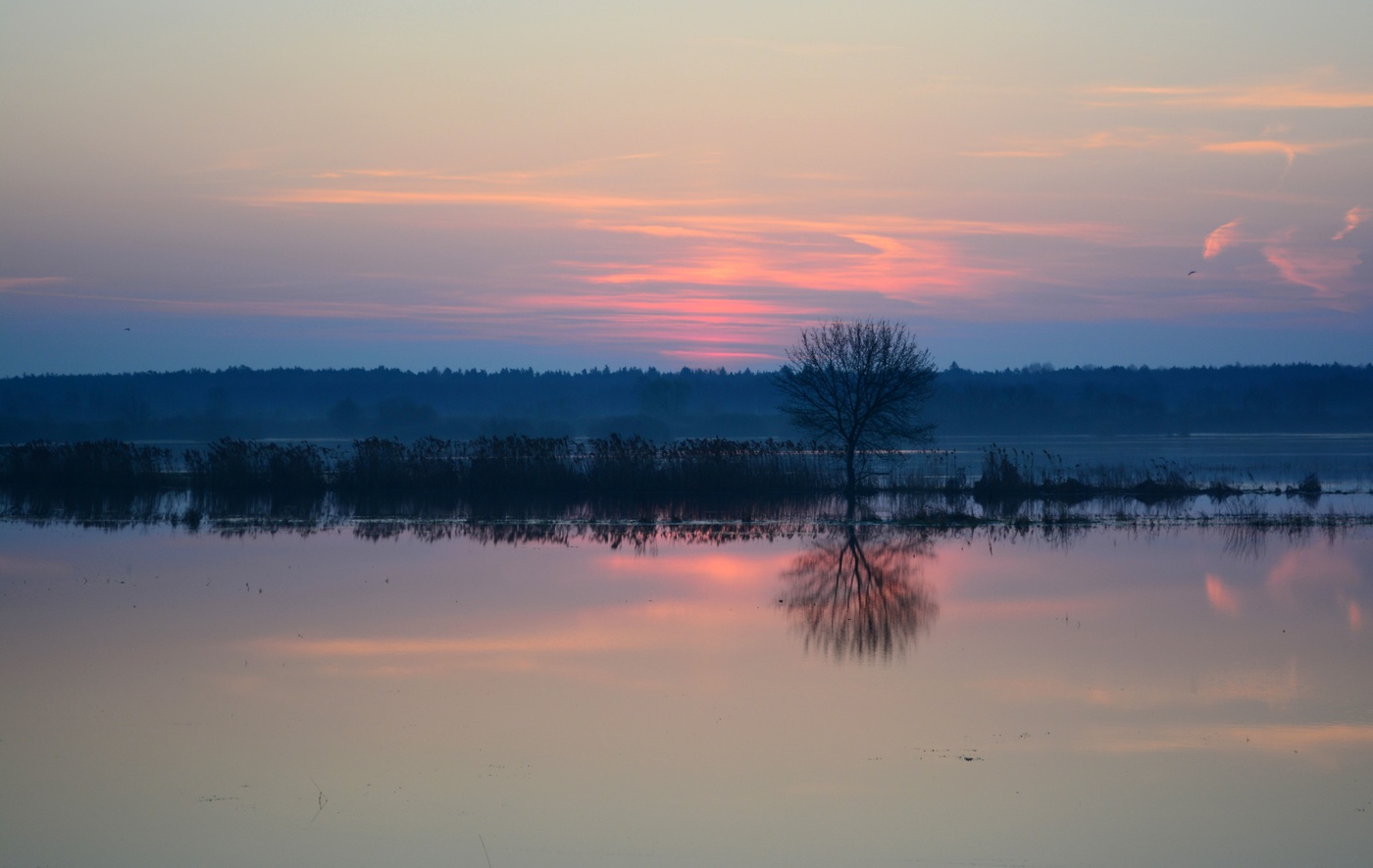 Апрельское утро