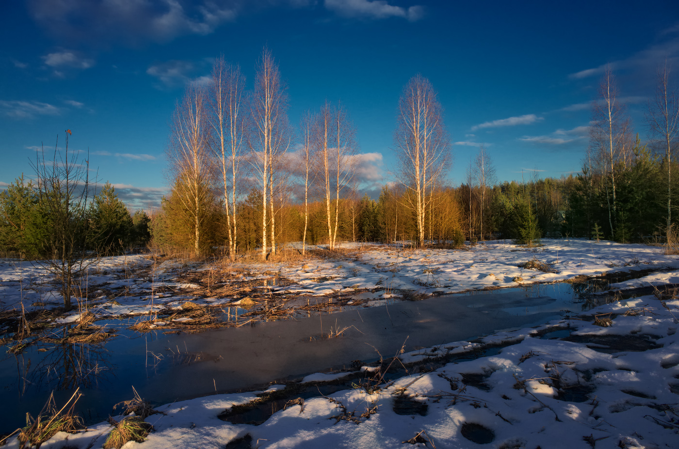 весенний вечер