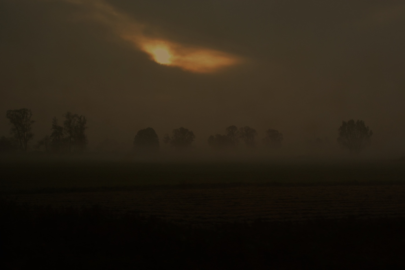 Мрачный рассвет ...