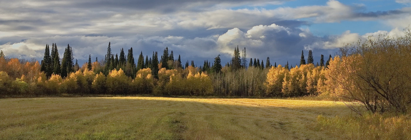 *ОСЕННИЙ СВЕТ.**