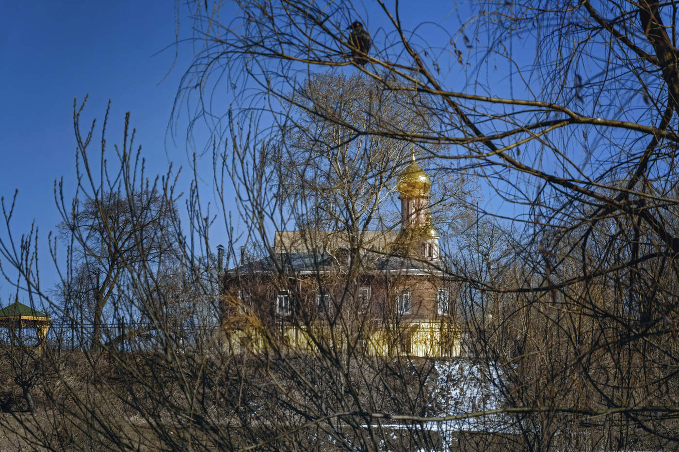 вещая птица...