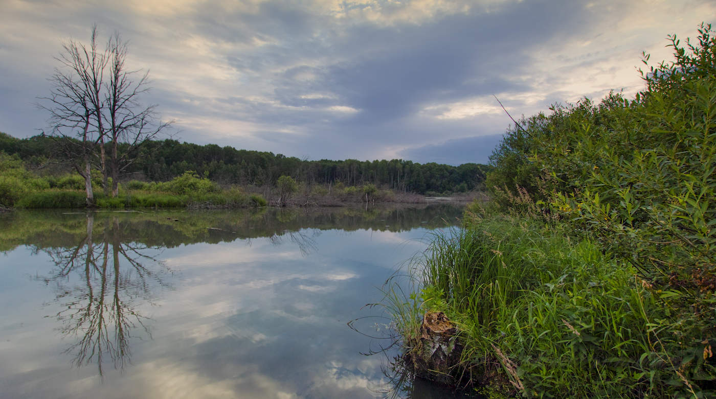 Хмурое небо,хмурые воды