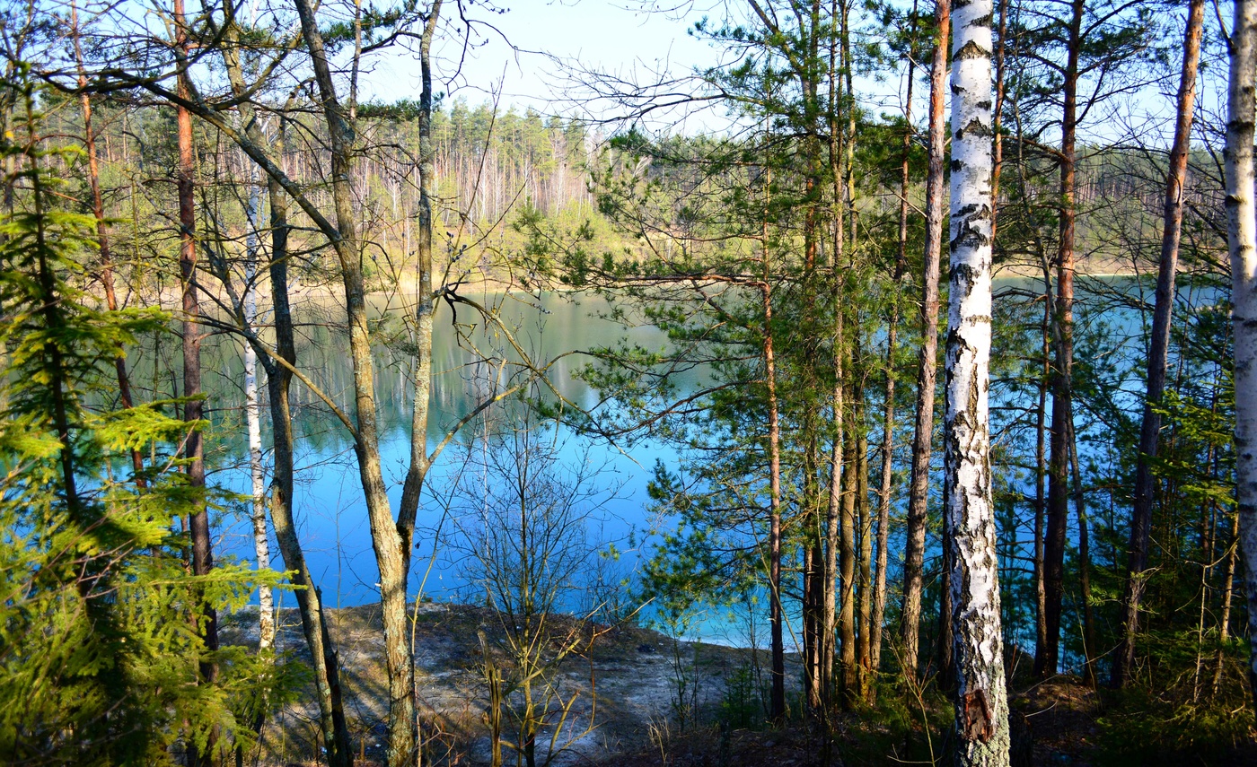 Ранней весной