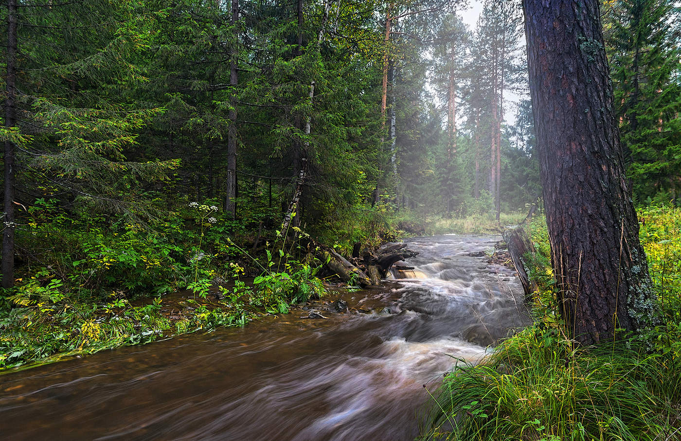 После дождя