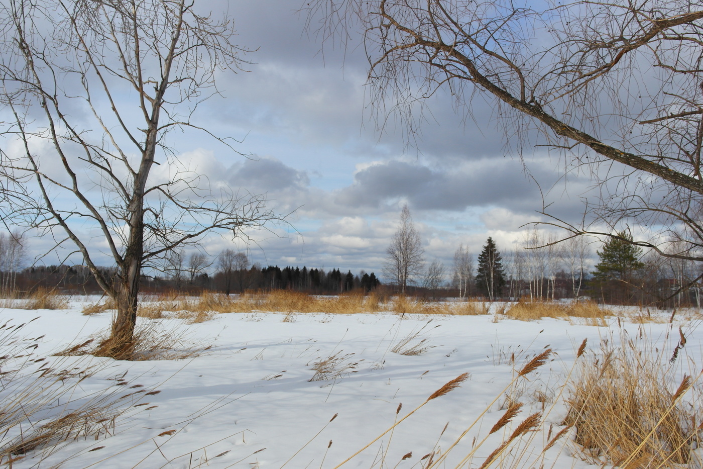 Всё ещё впереди...