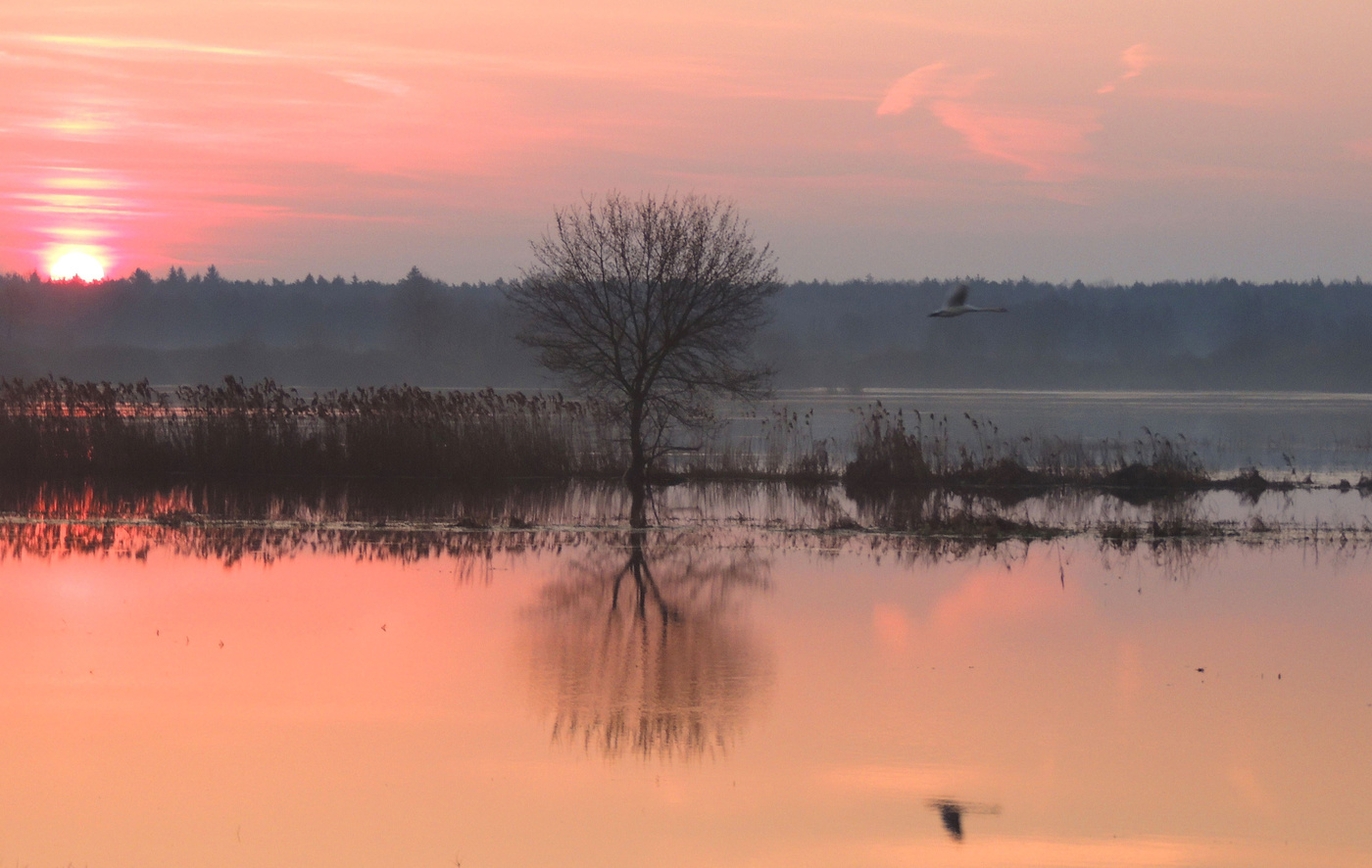 На весенней заре