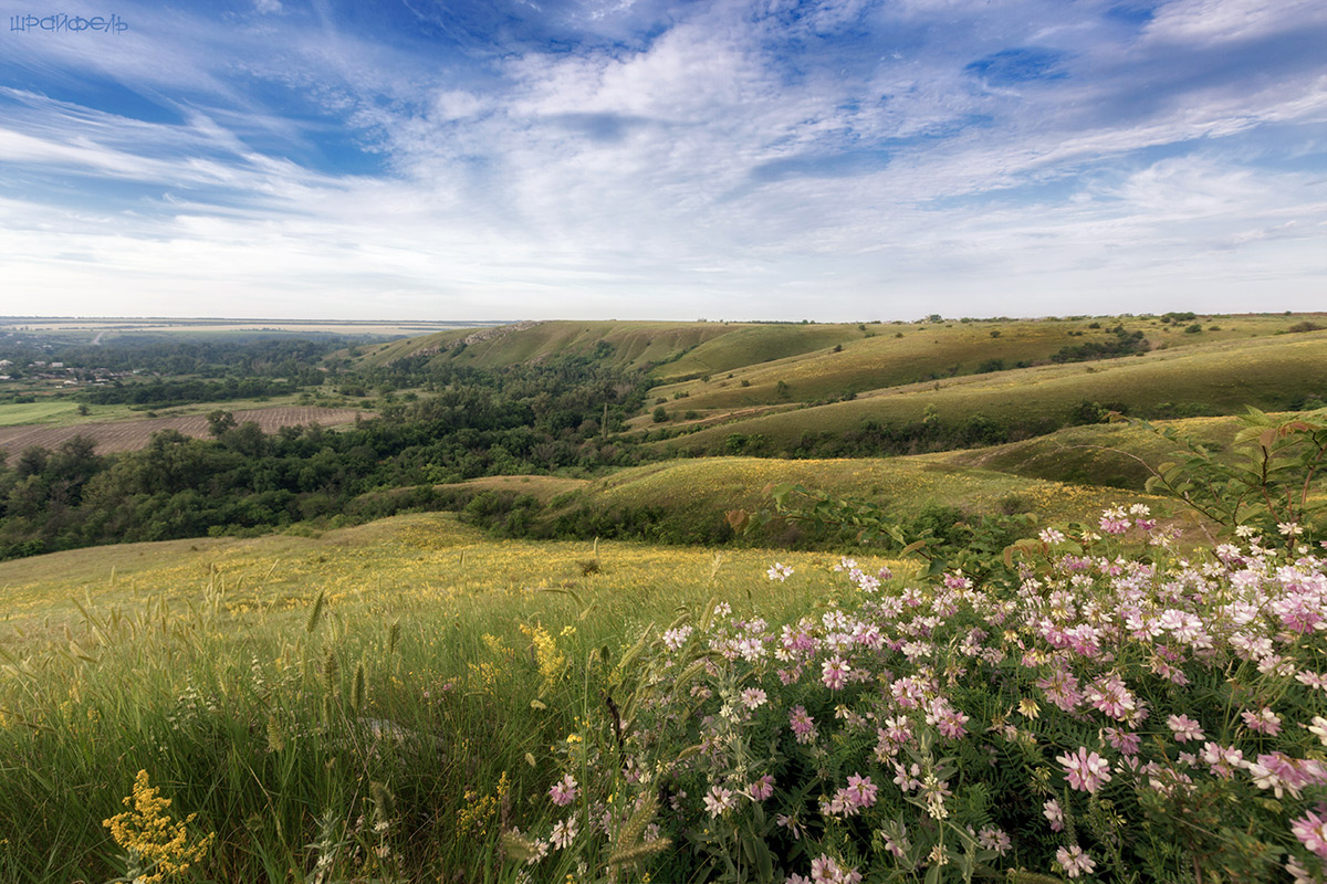 Холмы у хутора Верхнепопова