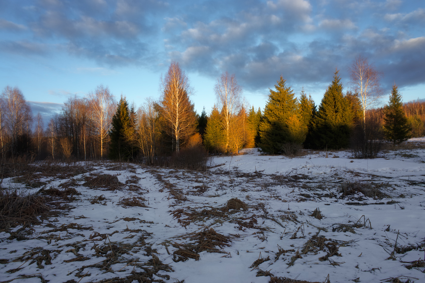 весенний вечер 2