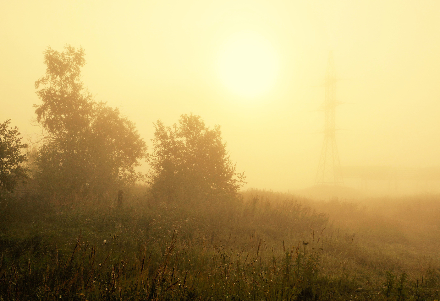 Начало жаркого дня ...