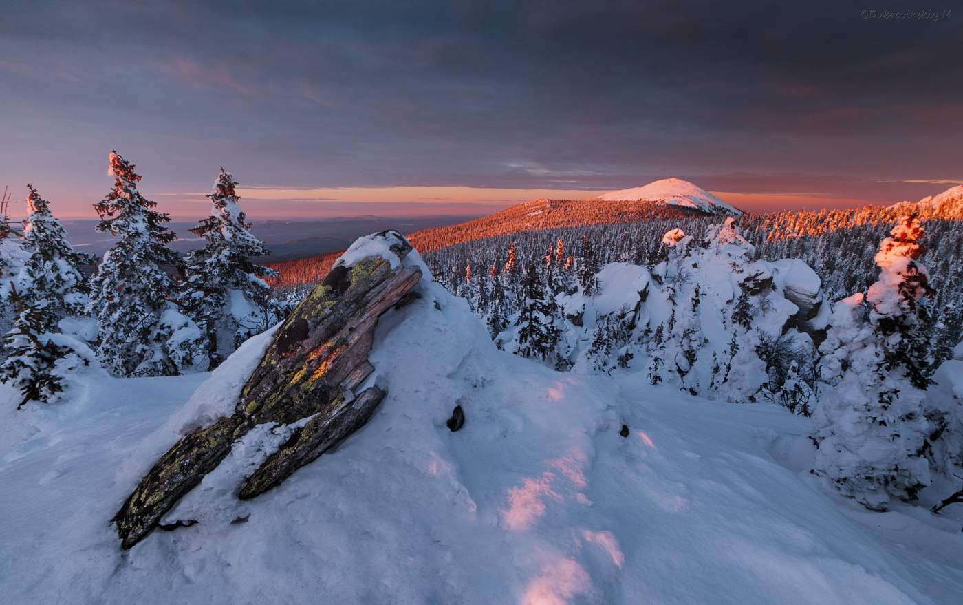 Круглица в вечернем свете