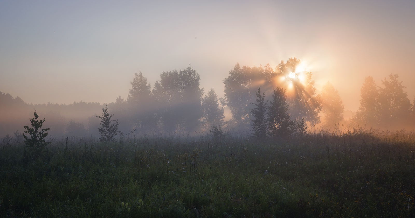 В лучах лета!