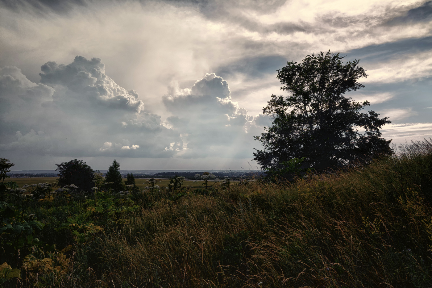 перед грозой