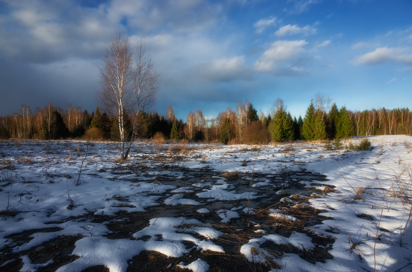 весенние проталины