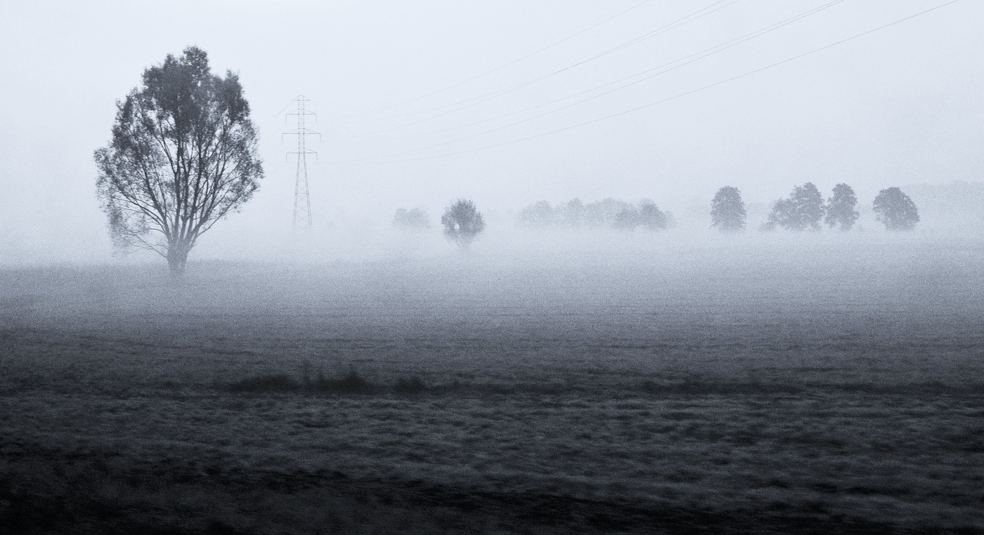 Утренний этюд ...