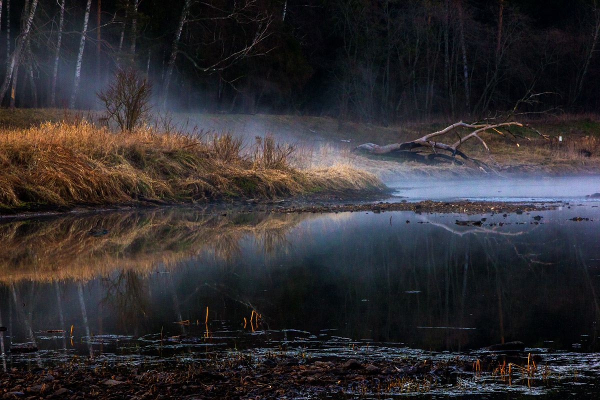 Лёгкий туман