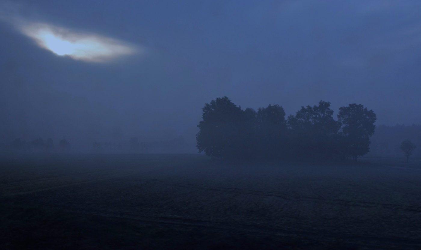 "Приносит утро мрачный мир вам..."