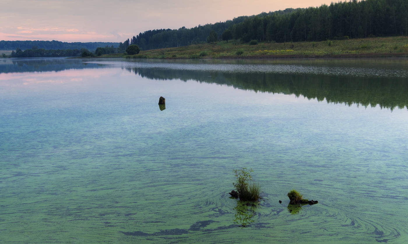 В то утро когда цвела вода