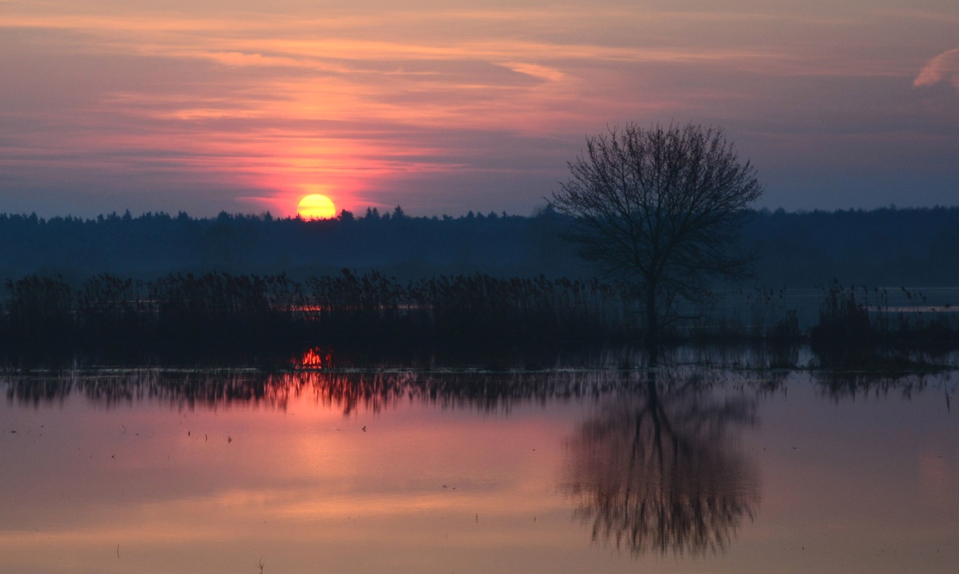 Весенний рассвет