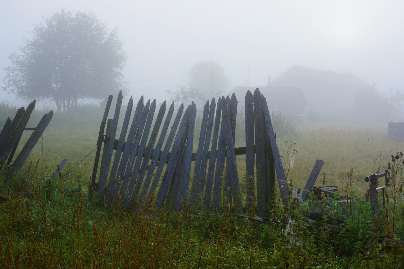 Ворота из прошлого ...