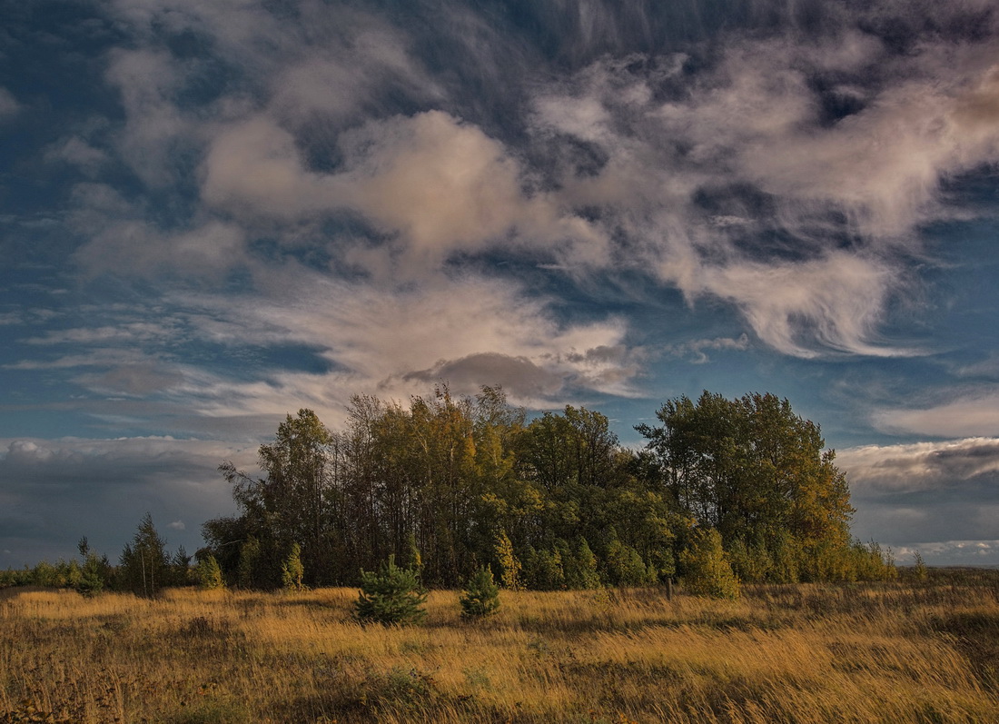 "Могучая кучка"
