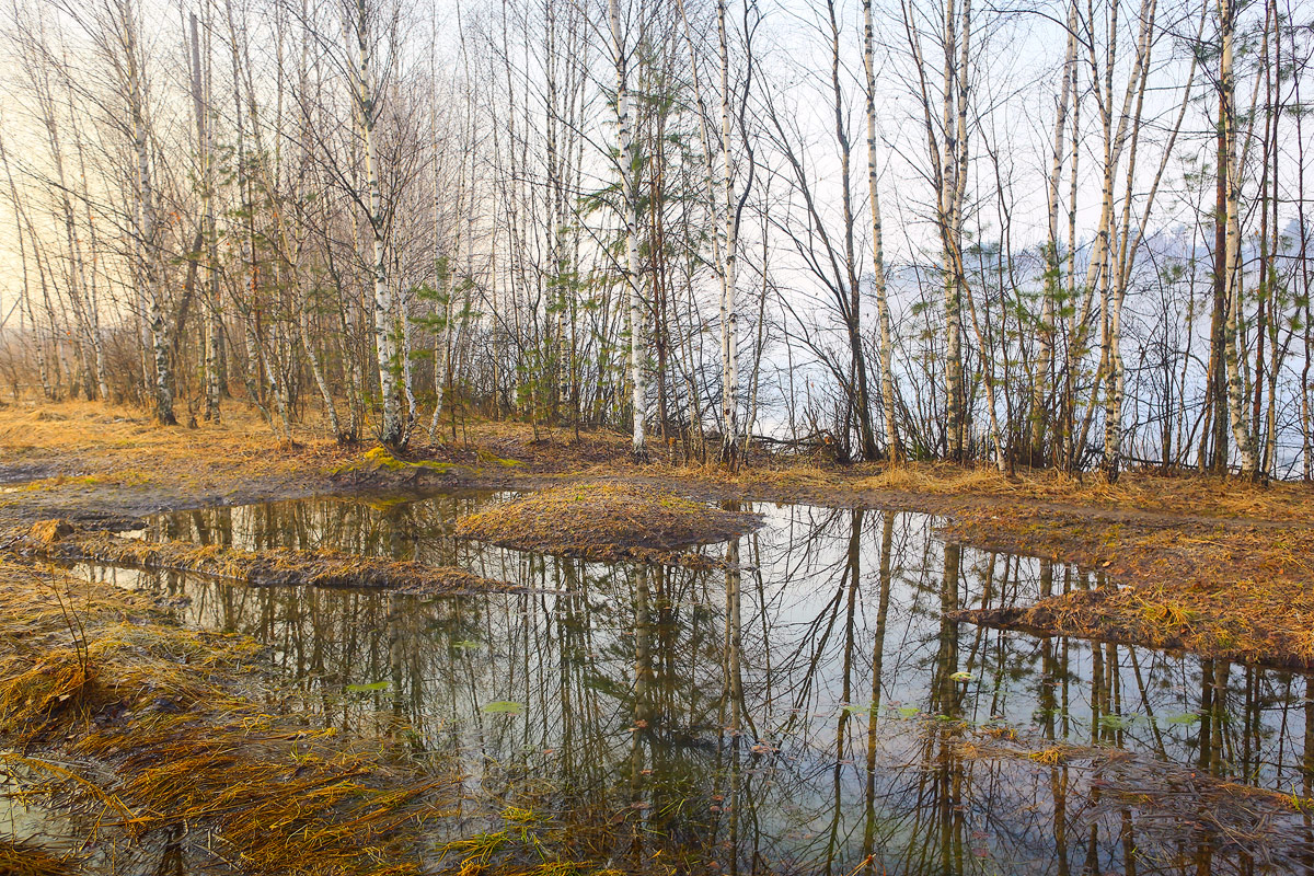 Прозрачное утро