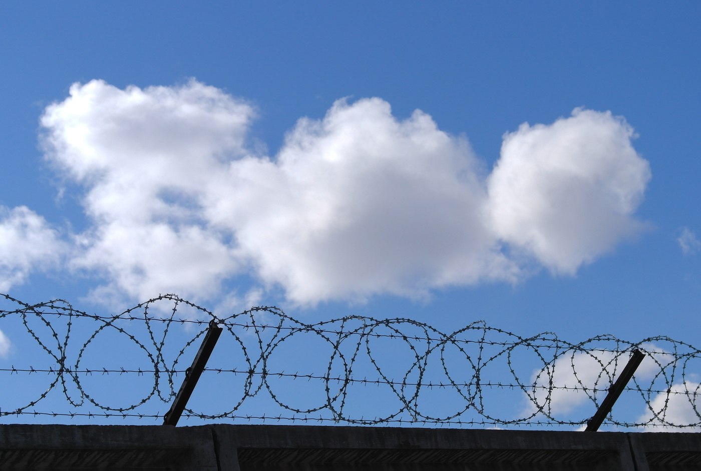 А тебя-то за что?...