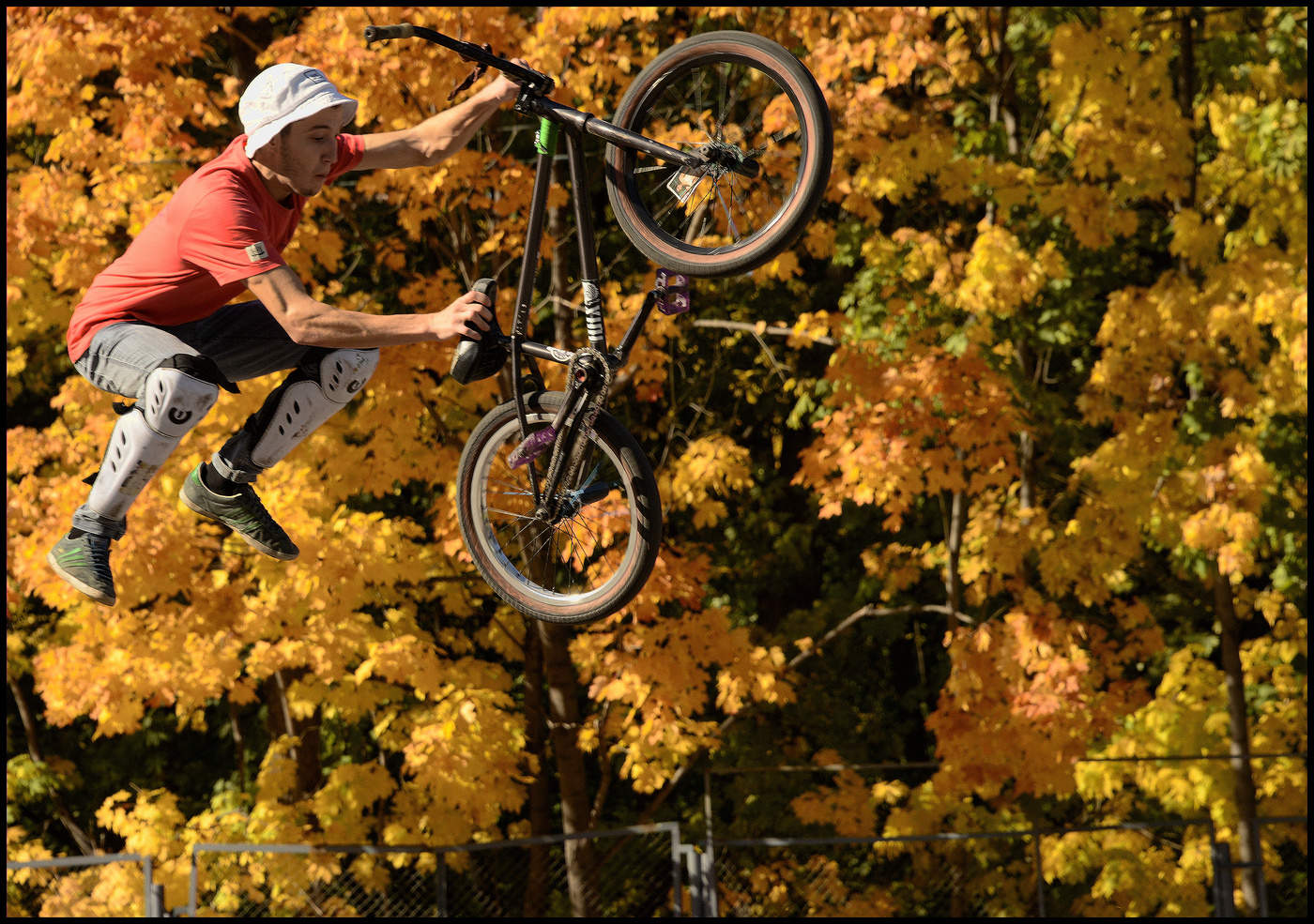 Свободный полёт