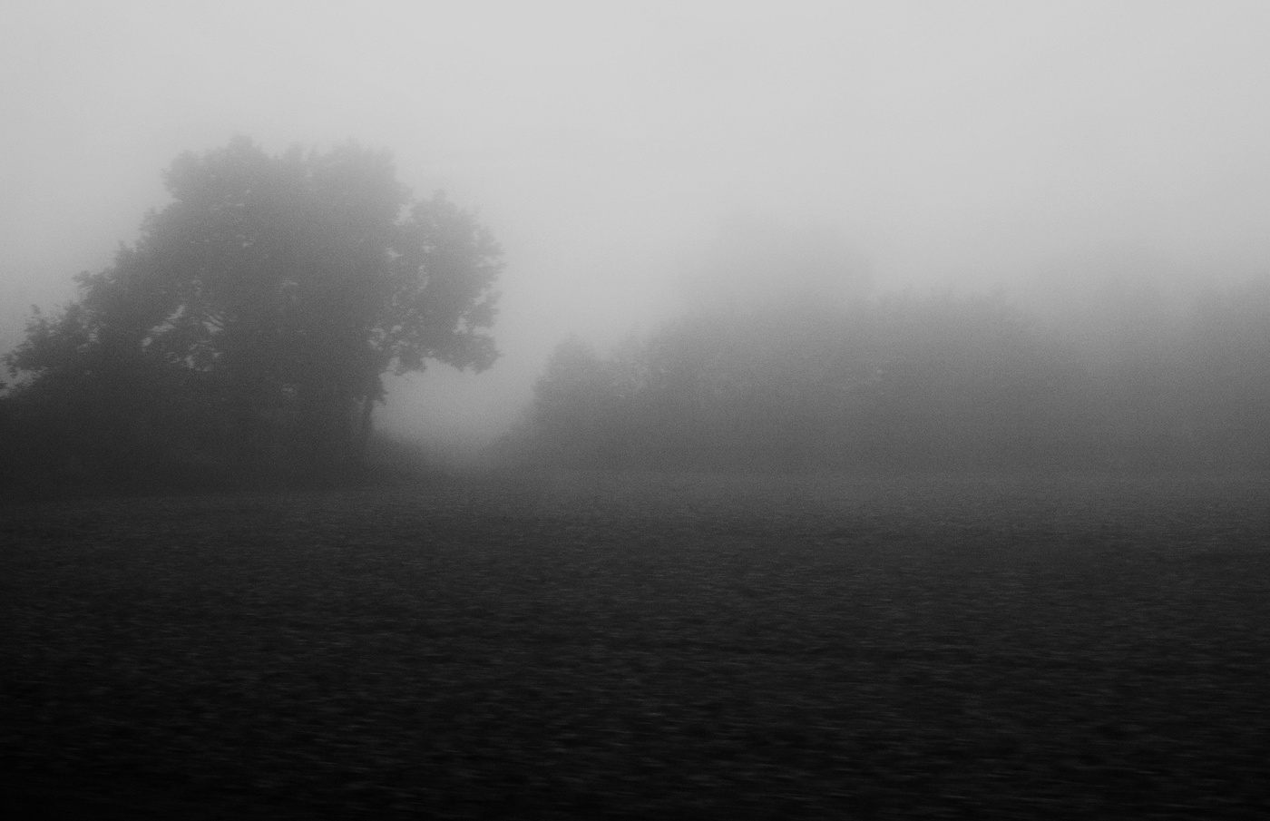 Загадочное утро ...