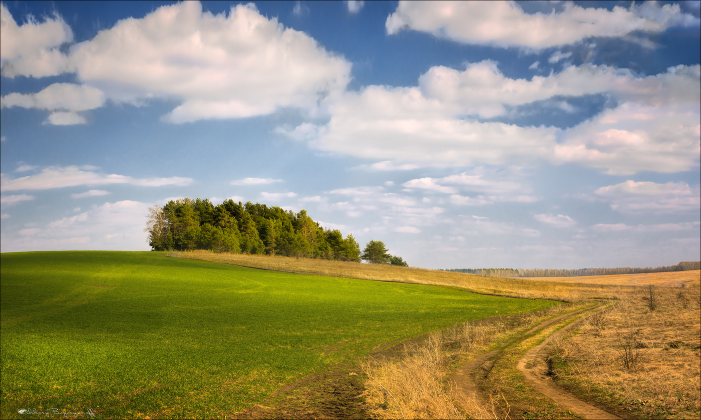 Уже полей весна коснулась!