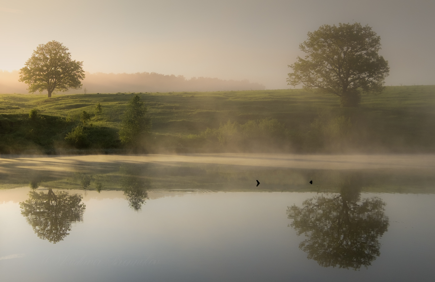 Тихо начинался рассвет