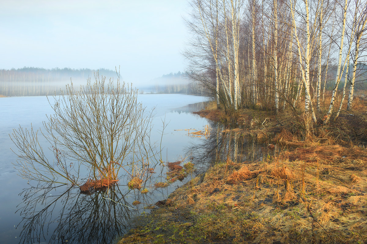 Начало весны