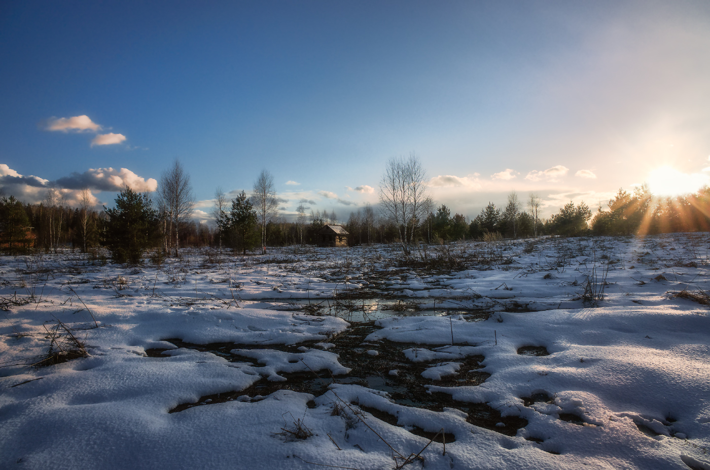 весенние проталины 2
