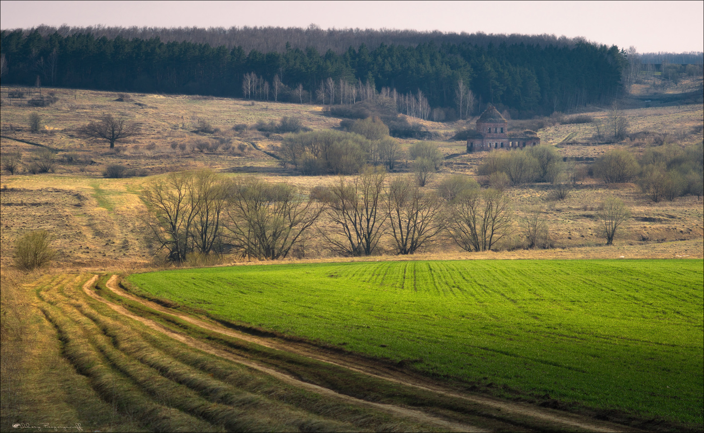 Забытый храм.