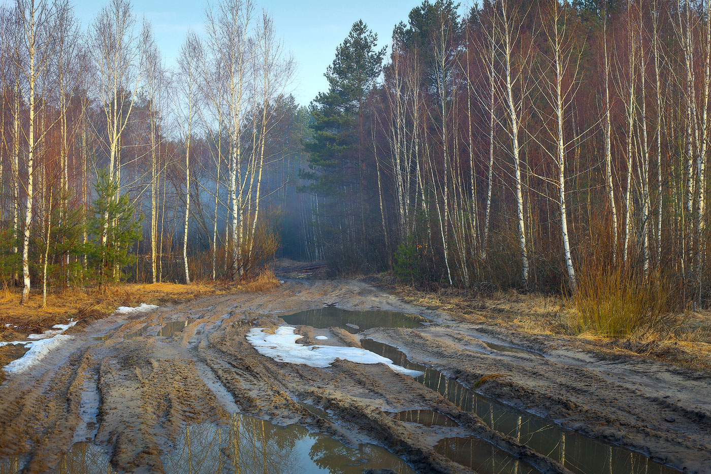 Дорога в апрельский лес