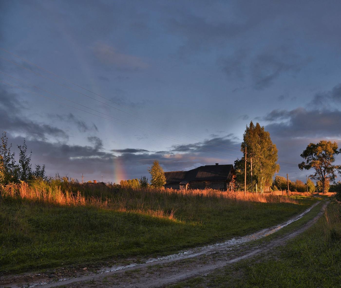 Просто летний дождь прошел ...
