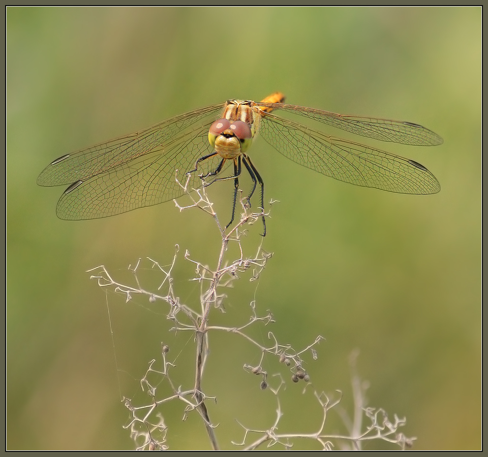 Невесомость