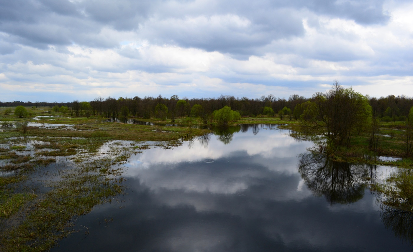 Плыли по реке облака
