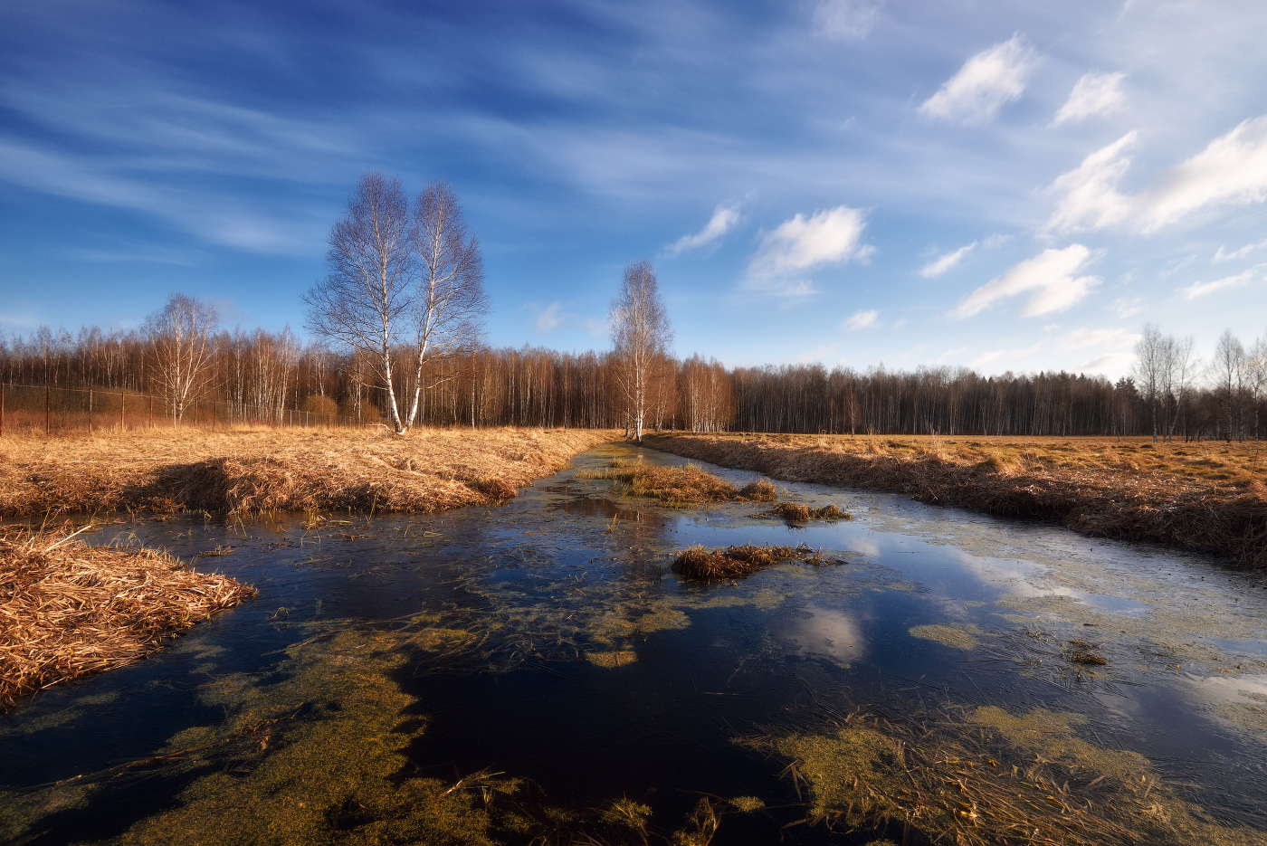 весенний пейзаж