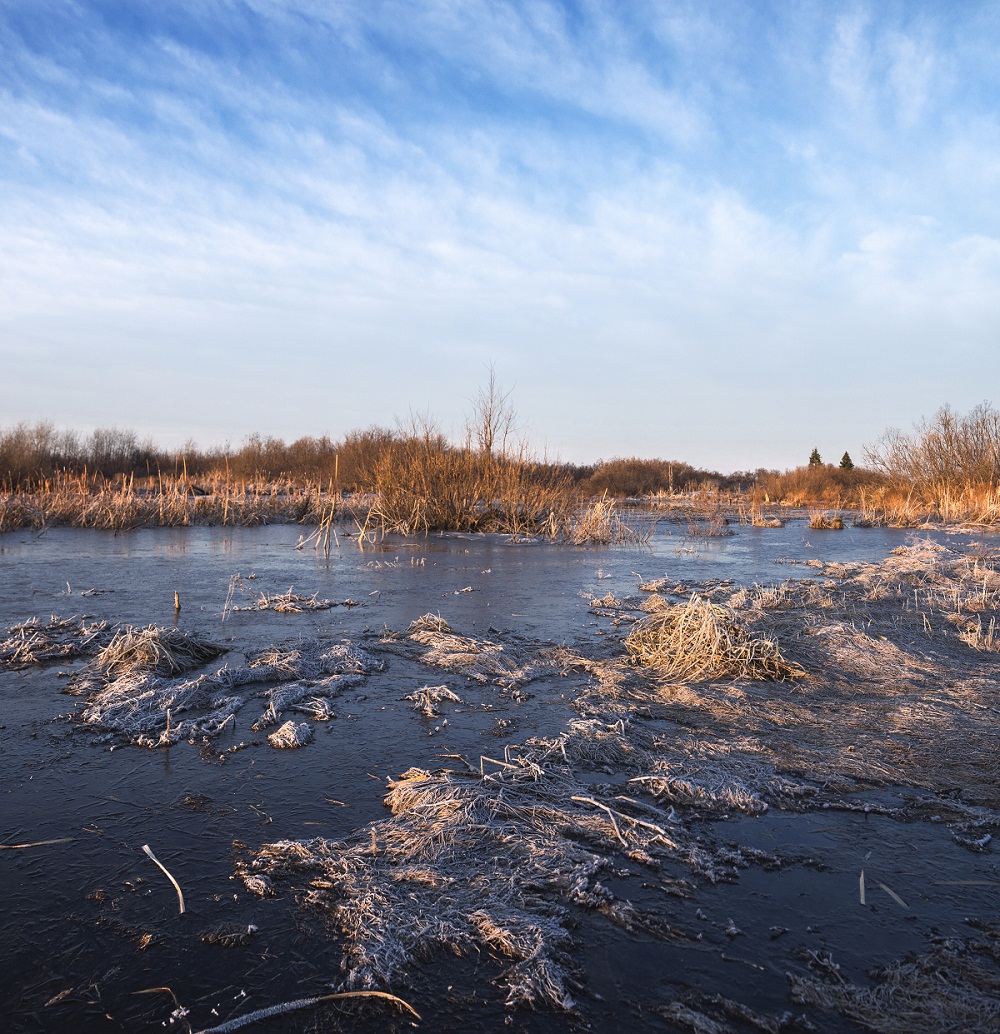 Пасхальное утро.