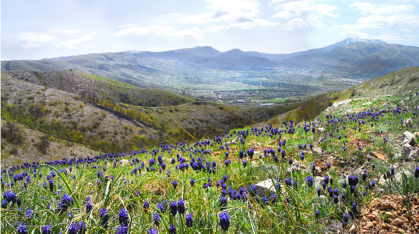 Горы проснулись.