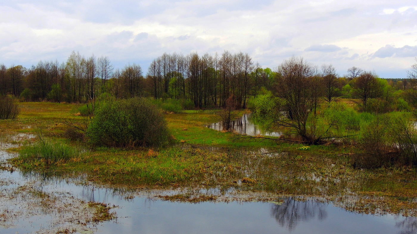 Весенняя акварель