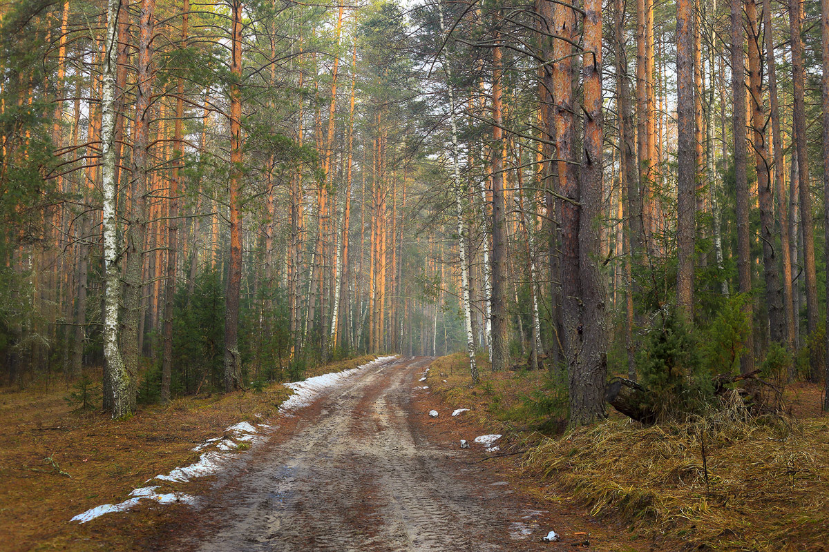 Последний снег