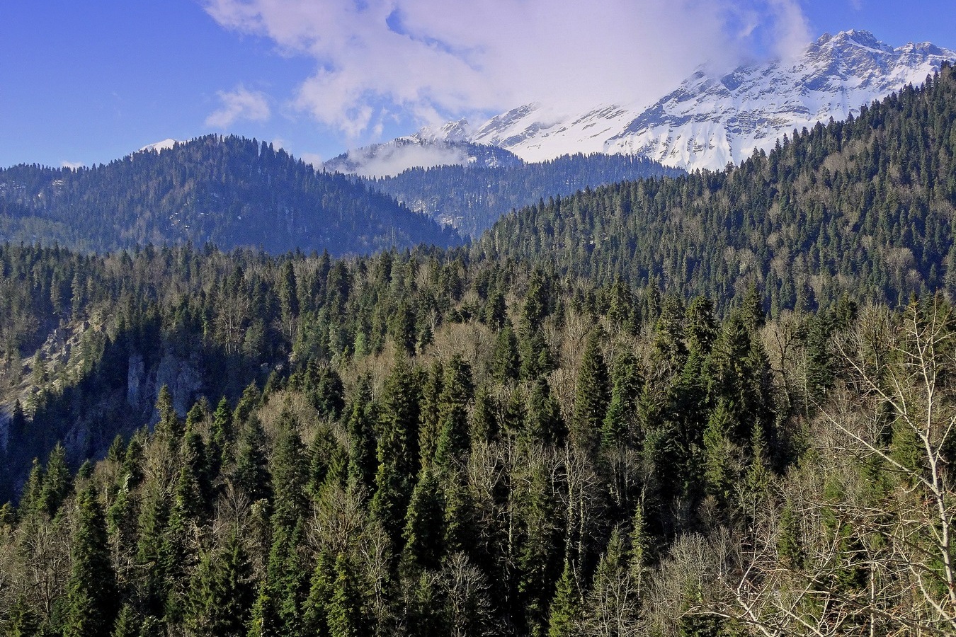 Впереди Кавказский хребет