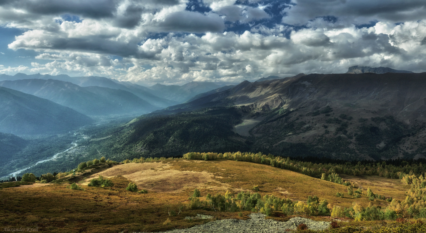 На солнечной рододендроновой поляне...