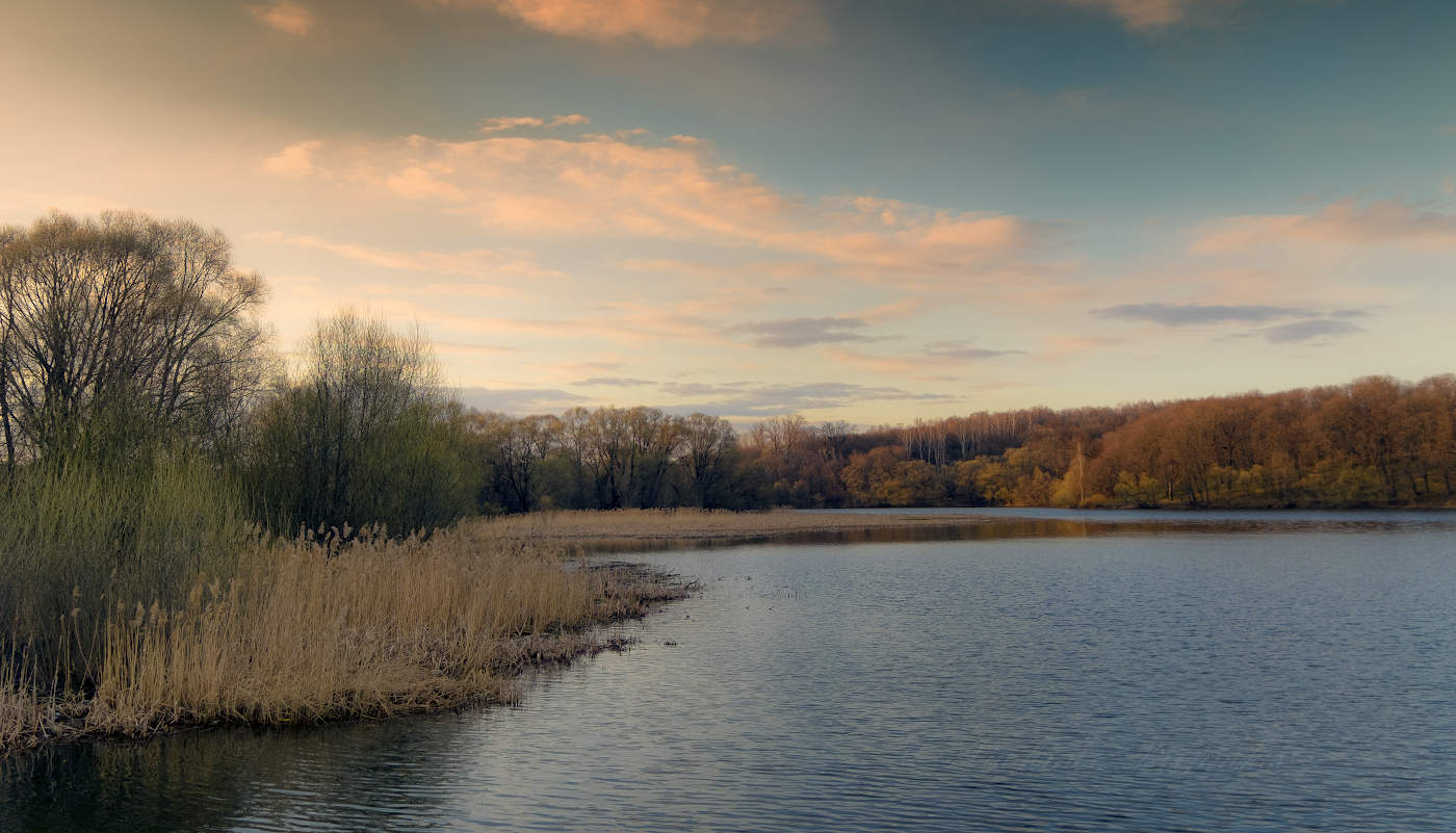 Весенним вечером на пруду