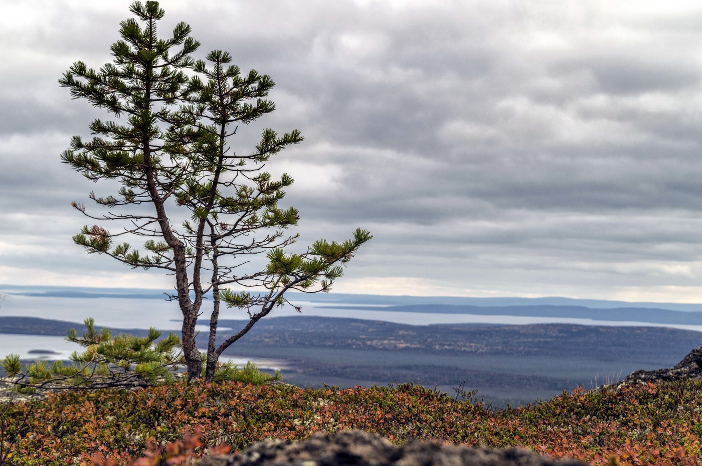 На вершине горы.