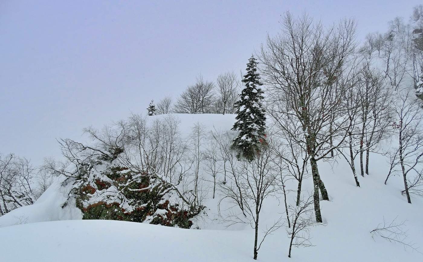 На склоне заснеженных гор