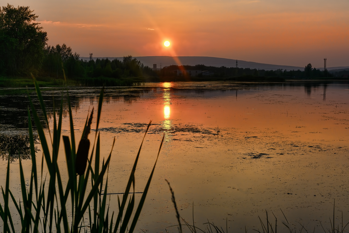 Вечерний свет