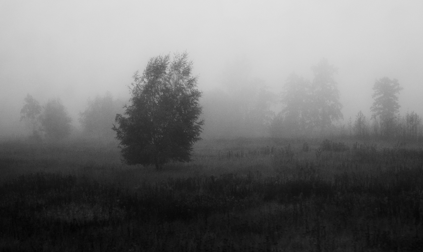 День начинался с тумана ...