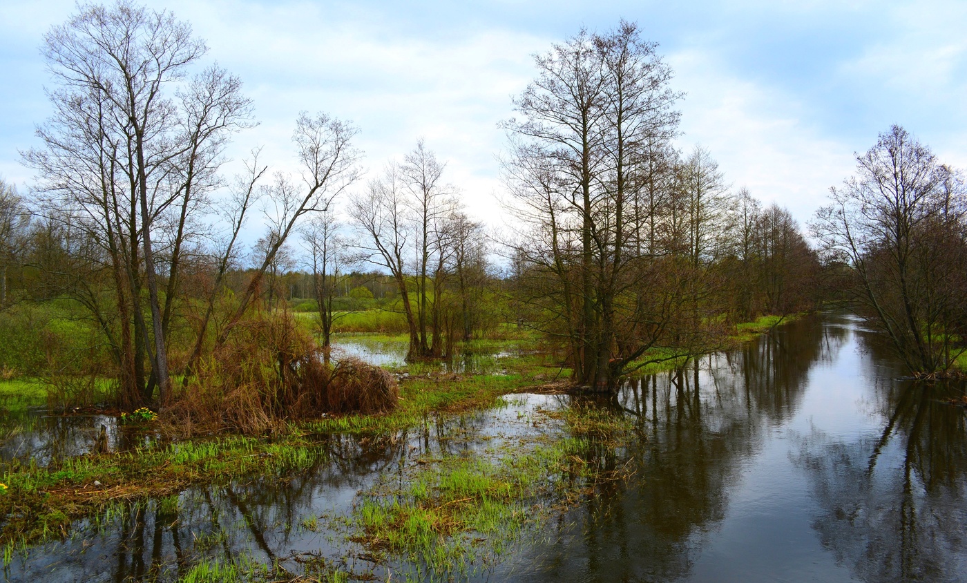 Весна в Полесье